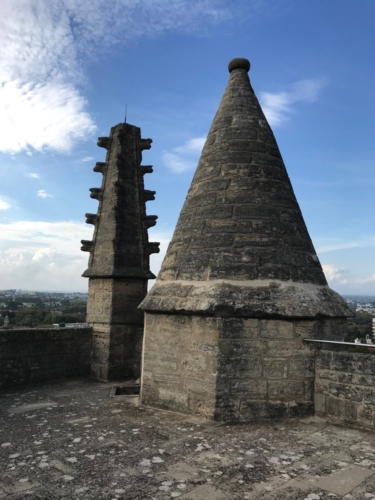 La cathédrale Saint-Pierre de Montpellier Roof