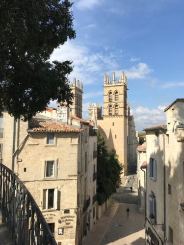 La cathédrale Saint-Pierre de Montpellier1
