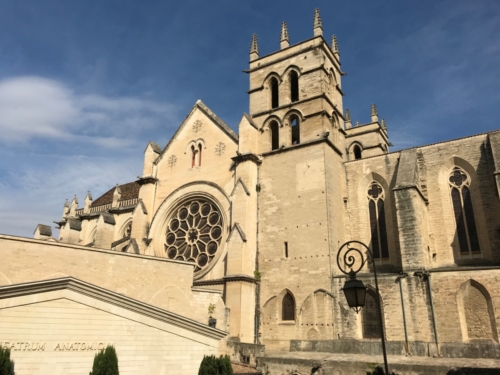 La cathédrale Saint-Pierre de Montpellier3