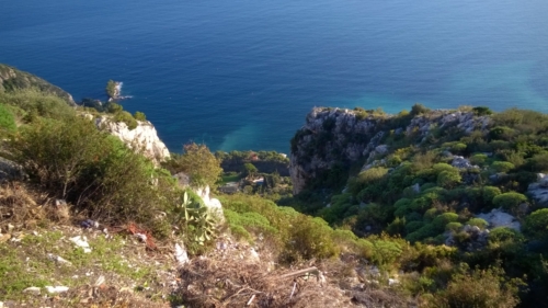 Èze Hillside - Click for larger image