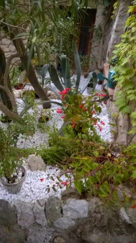 Èze Village - Click for larger image