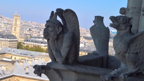 WP_20161009_13_23_43_Rich