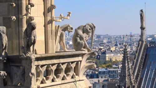 WP_20161009_13_27_23_Rich